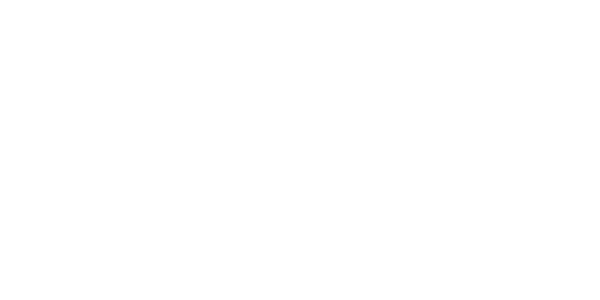 LANIP-logo